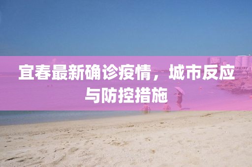 宜春最新确诊疫情，城市反应与防控措施