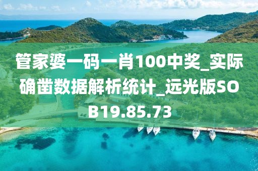 管家婆一码一肖100中奖_实际确凿数据解析统计_远光版SOB19.85.73