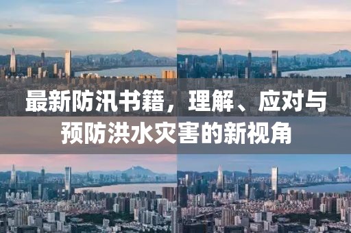 最新防汛书籍，理解、应对与预防洪水灾害的新视角
