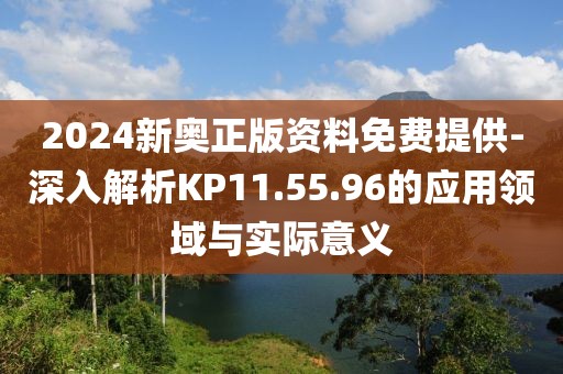 2024新奥正版资料免费提供-深入解析KP11.55.96的应用领域与实际意义