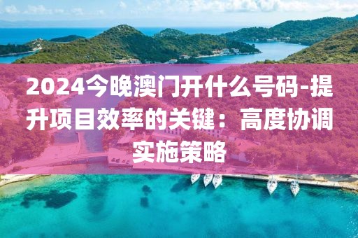 2024今晚澳门开什么号码-提升项目效率的关键：高度协调实施策略