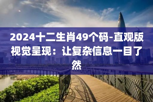 2024十二生肖49个码-直观版视觉呈现：让复杂信息一目了然