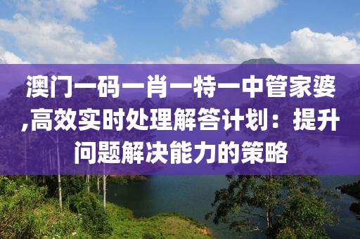 澳门一码一肖一特一中管家婆,高效实时处理解答计划：提升问题解决能力的策略