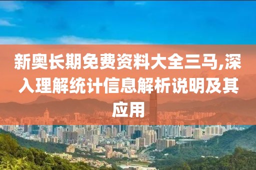 新奥长期免费资料大全三马,深入理解统计信息解析说明及其应用