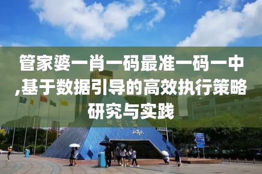 管家婆一肖一码最准一码一中,基于数据引导的高效执行策略研究与实践
