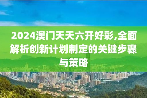 2024澳门天天六开好彩,全面解析创新计划制定的关键步骤与策略