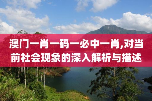 澳门一肖一码一必中一肖,对当前社会现象的深入解析与描述