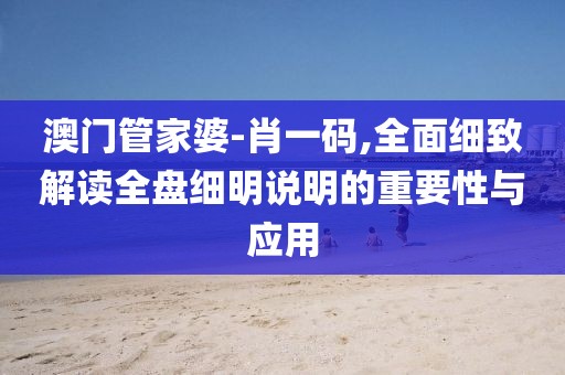 澳门管家婆-肖一码,全面细致解读全盘细明说明的重要性与应用