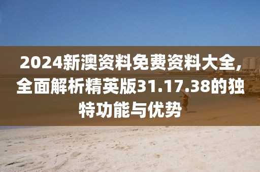 2024新澳资料免费资料大全,全面解析精英版31.17.38的独特功能与优势