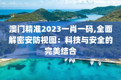 澳门精准2023一肖一码,全面解密安防视图：科技与安全的完美结合
