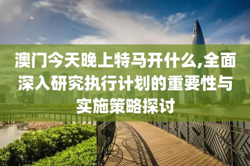 澳门今天晚上特马开什么,全面深入研究执行计划的重要性与实施策略探讨