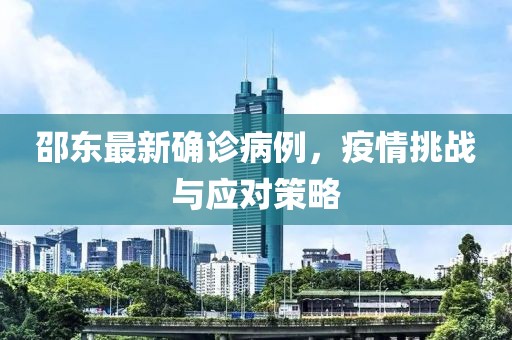 邵东最新确诊病例，疫情挑战与应对策略
