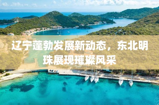 辽宁蓬勃发展新动态，东北明珠展现璀璨风采