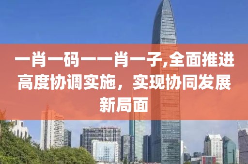 一肖一码一一肖一子,全面推进高度协调实施，实现协同发展新局面