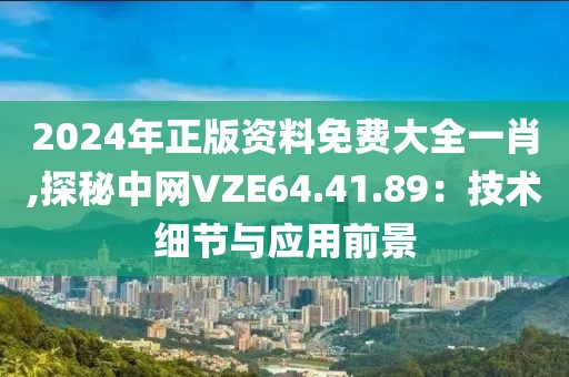 2024年正版资料免费大全一肖,探秘中网VZE64.41.89：技术细节与应用前景