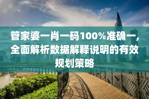 管家婆一肖一码100%准确一,全面解析数据解释说明的有效规划策略