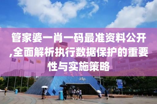 管家婆一肖一码最准资料公开,全面解析执行数据保护的重要性与实施策略