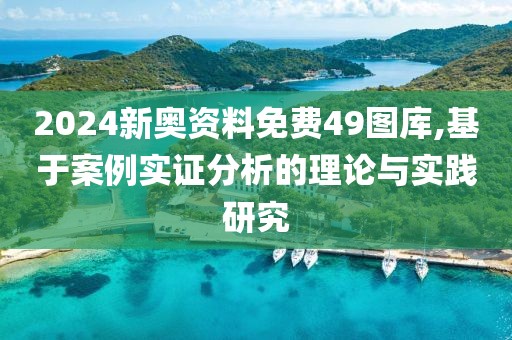 2024新奥资料免费49图库,基于案例实证分析的理论与实践研究