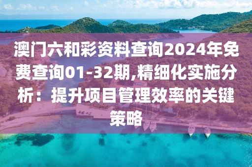 澳门六和彩资料查询2024年免费查询01-32期,精细化实施分析：提升项目管理效率的关键策略