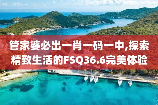 管家婆必出一肖一码一中,探索精致生活的FSQ36.6完美体验