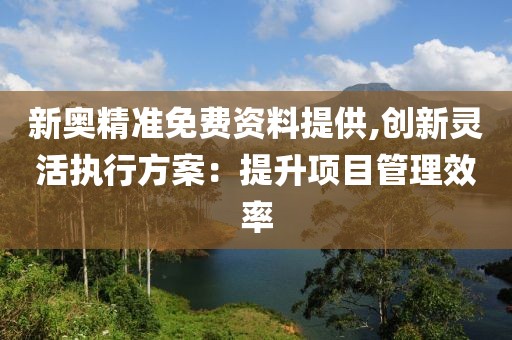 新奥精准免费资料提供,创新灵活执行方案：提升项目管理效率