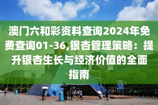 澳门六和彩资料查询2024年免费查询01-36,银杏管理策略：提升银杏生长与经济价值的全面指南