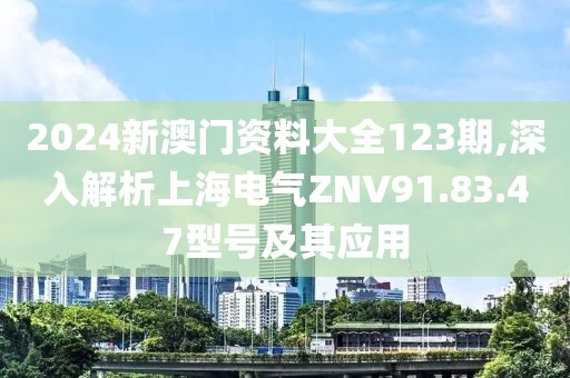 2024新澳门资料大全123期,深入解析上海电气ZNV91.83.47型号及其应用