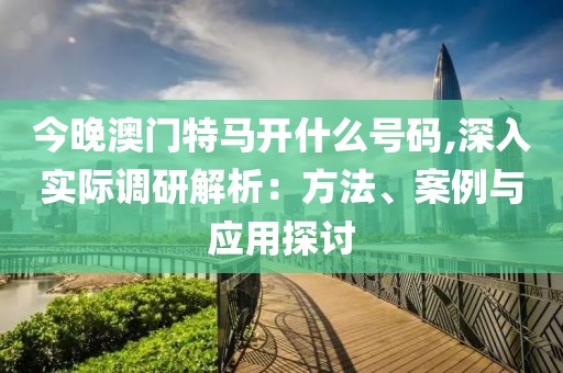 今晚澳门特马开什么号码,深入实际调研解析：方法、案例与应用探讨