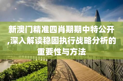 新澳门精准四肖期期中特公开,深入解读稳固执行战略分析的重要性与方法