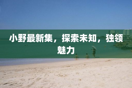小野最新集，探索未知，独领魅力