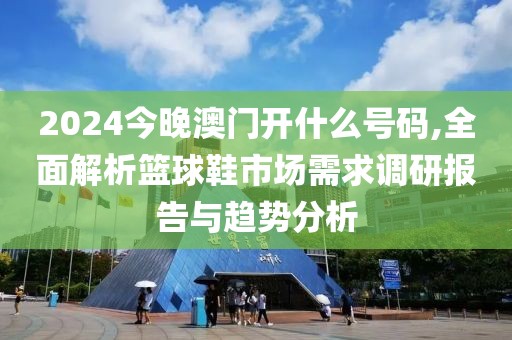 2024今晚澳门开什么号码,全面解析篮球鞋市场需求调研报告与趋势分析