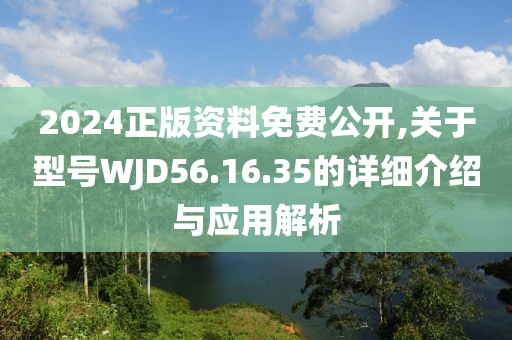 2024正版资料免费公开,关于型号WJD56.16.35的详细介绍与应用解析