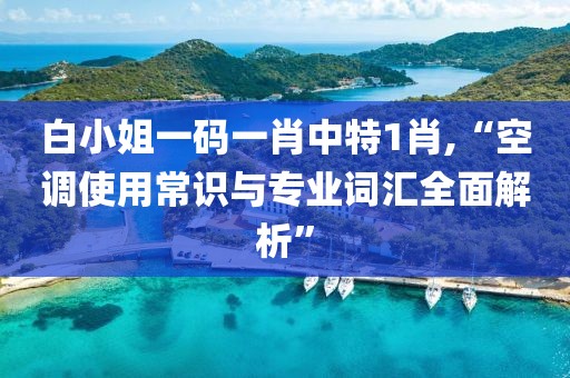 白小姐一码一肖中特1肖,“空调使用常识与专业词汇全面解析”