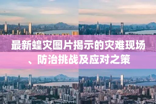 最新蝗灾图片揭示的灾难现场、防治挑战及应对之策