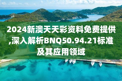 2024新澳天天彩资料免费提供,深入解析BNQ50.94.21标准及其应用领域