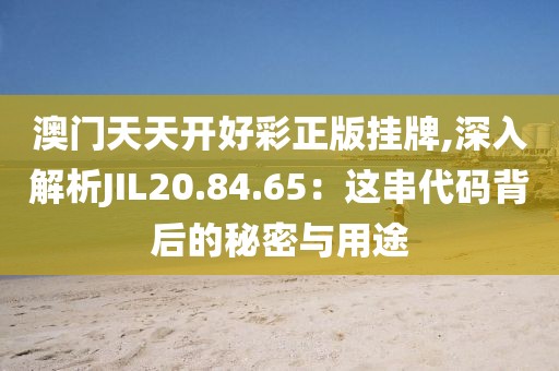 澳门天天开好彩正版挂牌,深入解析JIL20.84.65：这串代码背后的秘密与用途