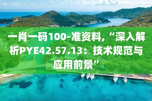 一肖一码100-准资料,“深入解析PYE42.57.13：技术规范与应用前景”