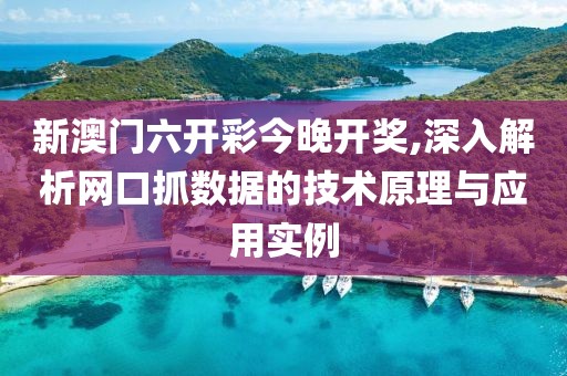 新澳门六开彩今晚开奖,深入解析网口抓数据的技术原理与应用实例