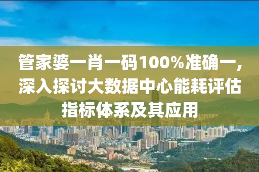 管家婆一肖一码100%准确一,深入探讨大数据中心能耗评估指标体系及其应用