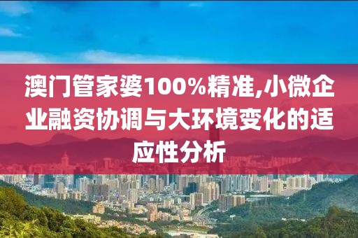 澳门管家婆100%精准,小微企业融资协调与大环境变化的适应性分析