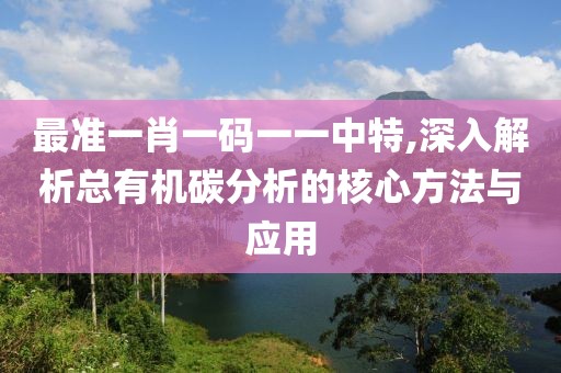 最准一肖一码一一中特,深入解析总有机碳分析的核心方法与应用
