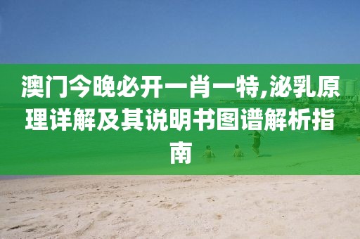 澳门今晚必开一肖一特,泌乳原理详解及其说明书图谱解析指南