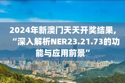 2024年新澳门天天开奖结果,“深入解析NER23.21.73的功能与应用前景”