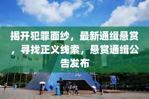揭开犯罪面纱，最新通缉悬赏，寻找正义线索，悬赏通缉公告发布