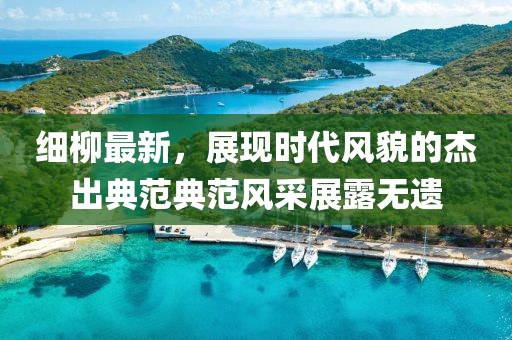 细柳最新，展现时代风貌的杰出典范典范风采展露无遗