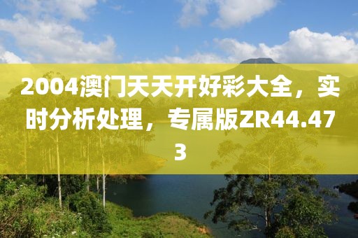 2004澳门天天开好彩大全，实时分析处理，专属版ZR44.473