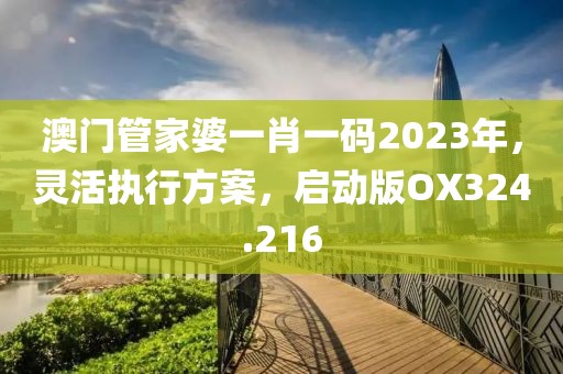 澳门管家婆一肖一码2023年，灵活执行方案，启动版OX324.216