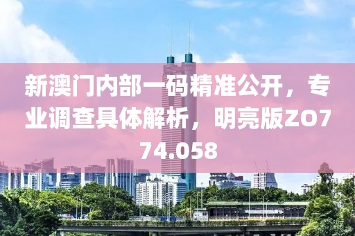 新澳门内部一码精准公开，专业调查具体解析，明亮版ZO774.058