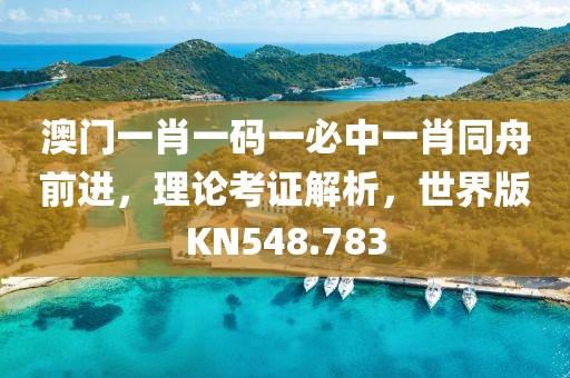 澳门一肖一码一必中一肖同舟前进，理论考证解析，世界版KN548.783