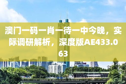澳门一码一肖一待一中今晚，实际调研解析，深度版AE433.063